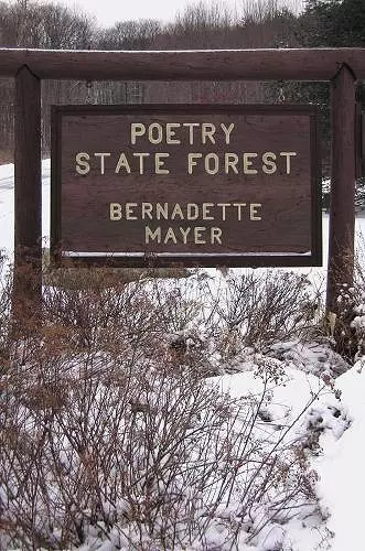 Poetry State Forest cover