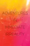 Adventures In Immediate Irreality cover