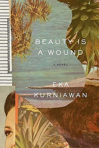 Beauty Is a Wound cover