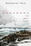 Gondwana cover