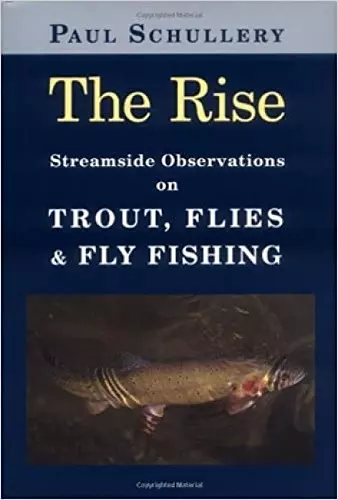 The Rise cover