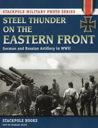 Steel Thunder on the Eastern Front cover
