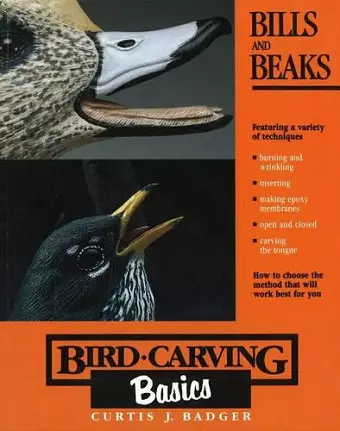 Bird Carving Basics cover