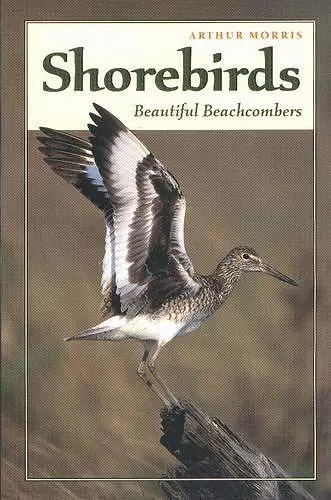 Shorebirds cover