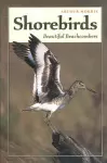 Shorebirds cover