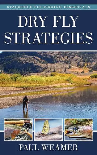 Dry Fly Strategies cover