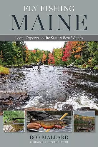 Fly Fishing Maine cover