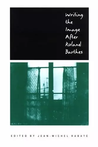 Writing the Image After Roland Barthes cover