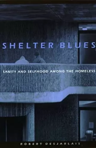 Shelter Blues cover