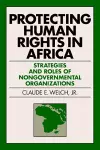 Protecting Human Rights in Africa cover