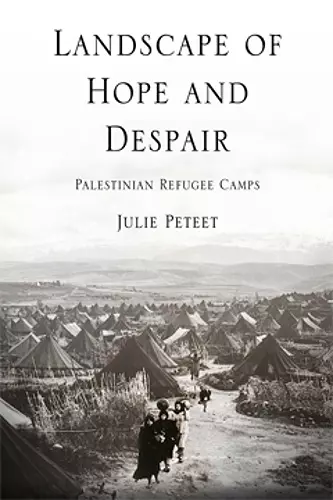 Landscape of Hope and Despair cover