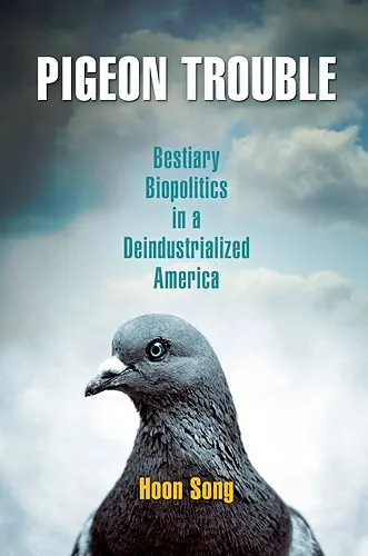 Pigeon Trouble cover