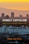 Sunbelt Capitalism cover