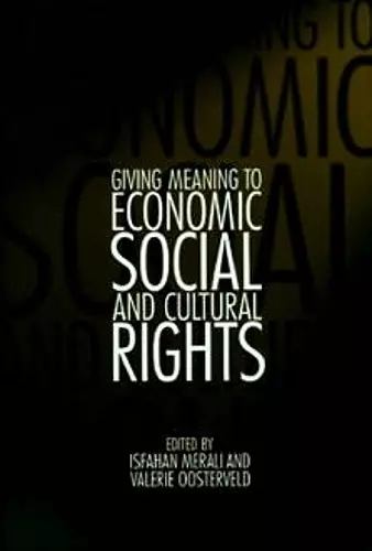 Giving Meaning to Economic, Social, and Cultural Rights cover