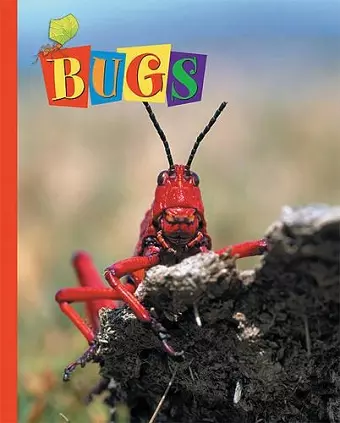 Bugs cover