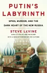 Putin's Labyrinth cover