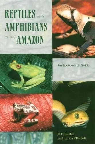 Reptiles and Amphibians of the Amazon cover