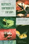 Reptiles and Amphibians of the Amazon cover