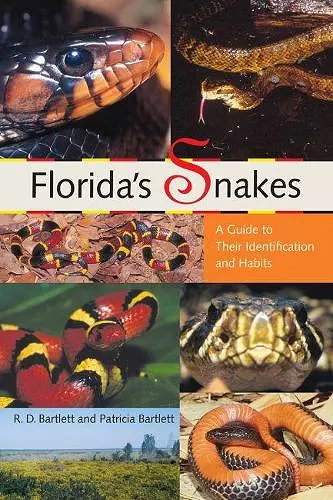 Florida's Snakes cover