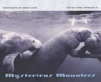 Mysterious Manatees cover