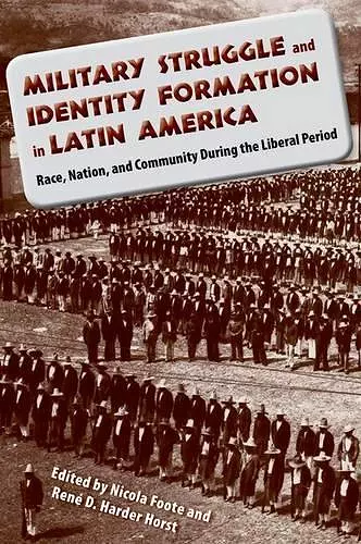 Military Struggle and Identity Formation in Latin America cover