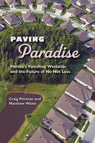 Paving Paradise cover