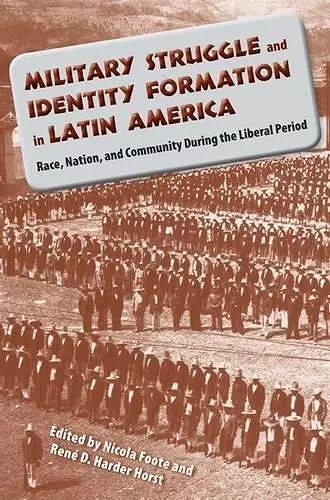 Military Struggle and Identity Formation in Latin America cover