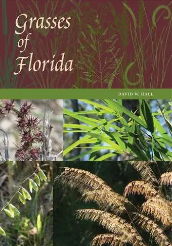 Grasses of Florida cover