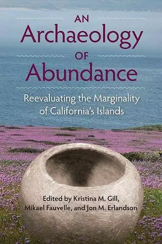 An Archaeology of Abundance cover