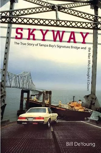 Skyway cover