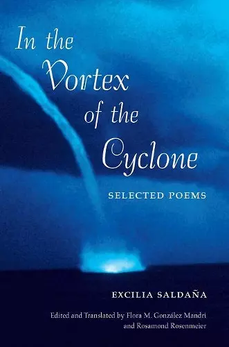 In the Vortex of the Cyclone cover