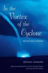 In the Vortex of the Cyclone cover