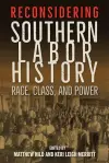 Reconsidering Southern Labor History cover