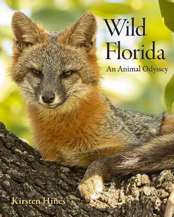 Wild Florida cover