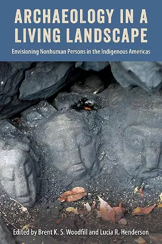 Archaeology in a Living Landscape cover