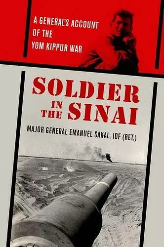 Soldier in the Sinai cover