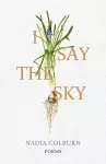 I Say the Sky cover