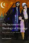 The Sacramental Theology of Marriage cover