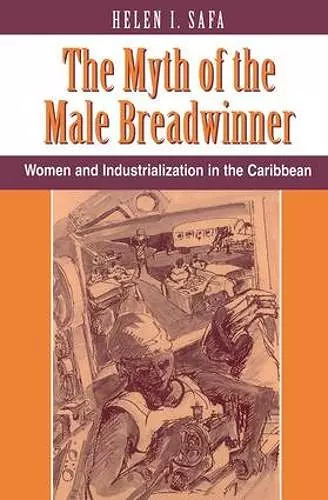 The Myth Of The Male Breadwinner cover