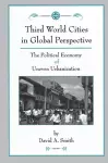Third World Cities In Global Perspective cover