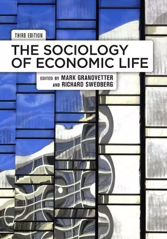 The Sociology of Economic Life cover