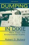 Dumping In Dixie cover