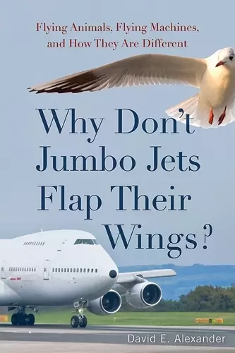 Why Don't Jumbo Jets Flap Their Wings? cover