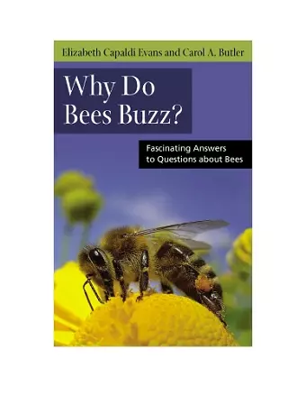 Why Do Bees Buzz? cover
