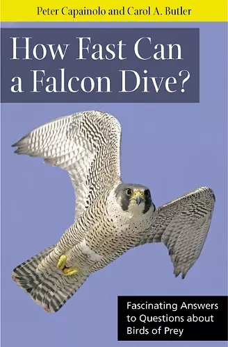 How Fast Can A Falcon Dive? cover