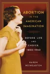 Abortion in the American Imagination cover