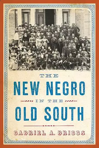 The New Negro in the Old South cover