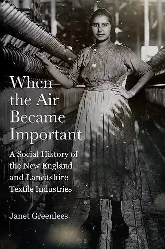 When the Air Became Important cover