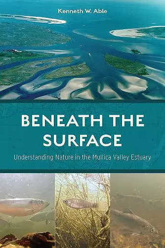 Beneath the Surface cover