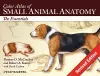 Color Atlas of Small Animal Anatomy cover